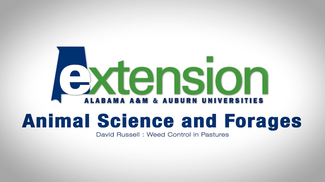 Integrated Weed Control Strategies in Forage Pastures