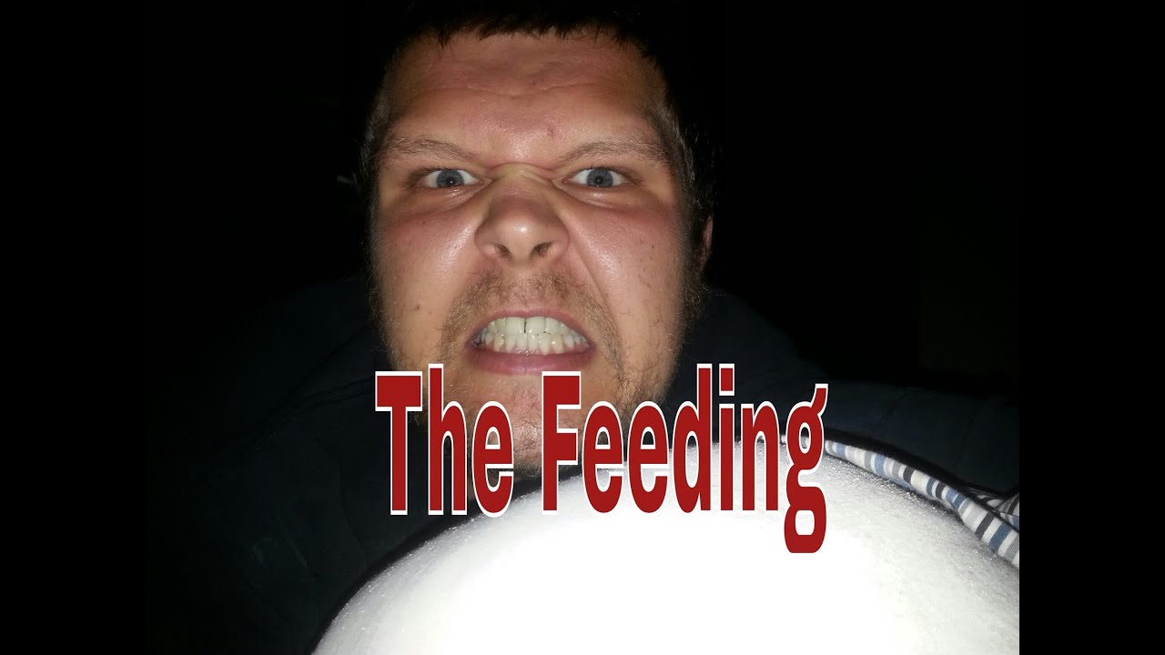 How to feed your fish-Right way vs Wrong way episode 4