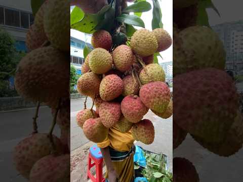 Mumbai licho #shortvideo #lichu