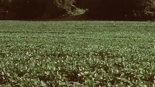 67 AC N 2050 Road video tour