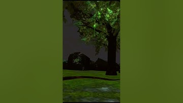 "Immersive Forest Visual Animation | Prisma3d Art | #prisma3danimation #shortvideo