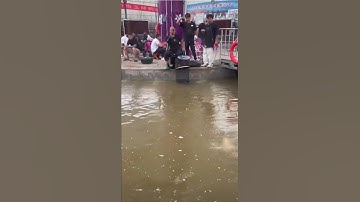 Câu cá chép tốc độ #shots #caucagiaitri #xuhuongyoutubeshort #recreationalfishing #caucatocdo