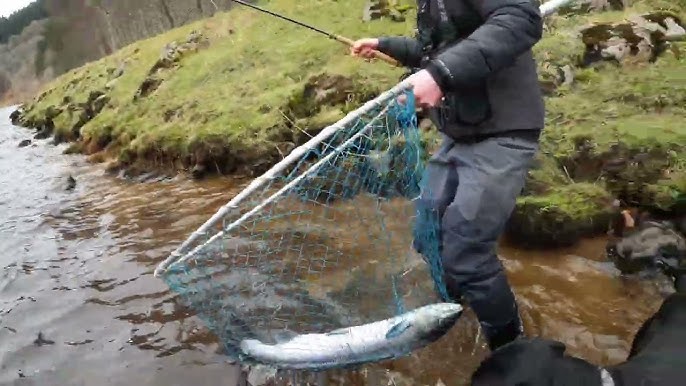 Choosing the Best Fly for Spring Salmon 