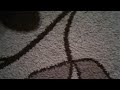 مرحبا بالجميع سينتي فينتي