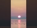 Sundown to Horizon Fade | Setouchi in Motion