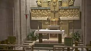 Daily Mass 7-7-26