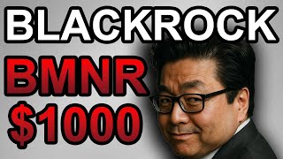 Blackrock Leaks Better Than Expected bmnr To 1000