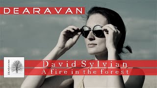 David Sylvian - A Fire in the Forest (D E A R A V A N)