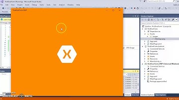 How to Insert an image into Xamarin Form Page