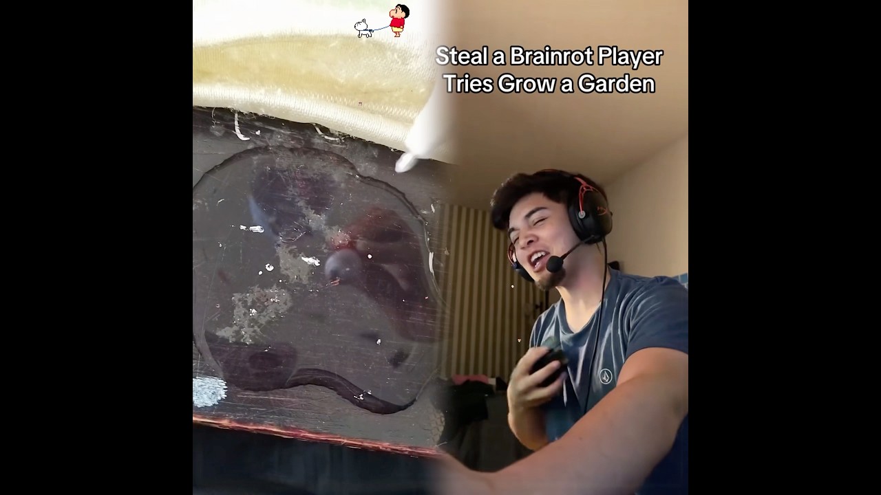 Украсть мозги игрока, пытающегося вырастить сад 
