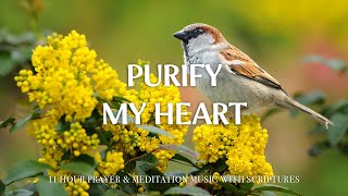 Purify My Heart Worship Instrumental Music With Bird Flower Christian Harmonies