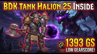 1393 GS BDK Tank Halion 25 Inside