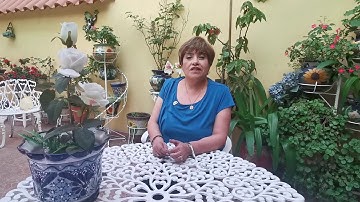 AP Resolve Capacitación y Soluciones Profesionales | M. en C. Olivia Margarita Pérez