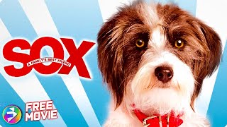 SOX: A FAMILY'S BEST FRIEND
