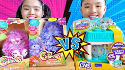 หนูยิ้มหนูแย้ม หนูเซอร์ไพรส์ VS เม่นขด