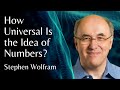 Stephen Wolfram | How Universal Is the Idea of Numbers? | NUMEROUS NUMEROSITY 2021