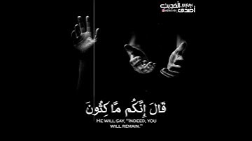 قرآن كريم بصوت القارئ ياسر الدوسري تلاوة خاشعة 🌿💚 حالات واتس اب / ستوريات قرآن | Quran ststus