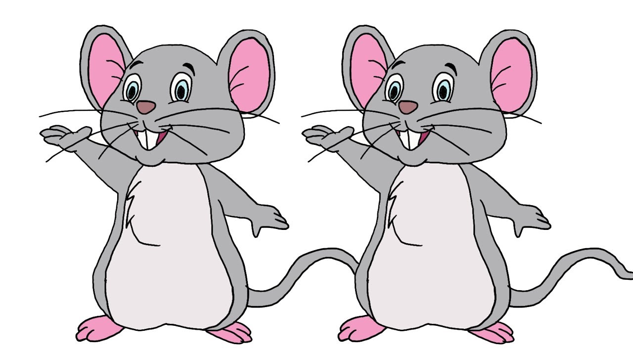 Hướng dẫn cách vẽ con chuột nhắt dễ thương - How to draw Mouse Charactor -  YouTube