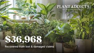 How Plant Addicts gave every customer full visibility into split shipments and recovered $36,968