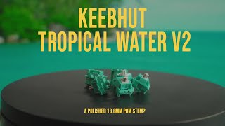 factory polished? | Keebhut V2 Tropical Water Linear Switch Review and Sound Test