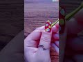 #Easy nail Art designs beginners #simplenails #nailartdesigns #pratiksha kawade #nailart #trending