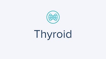Home Thyroid Test: detect possible imbalances & measure three main hormones TSH, FT4, FT3