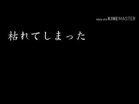 【PV】雨とペトラ