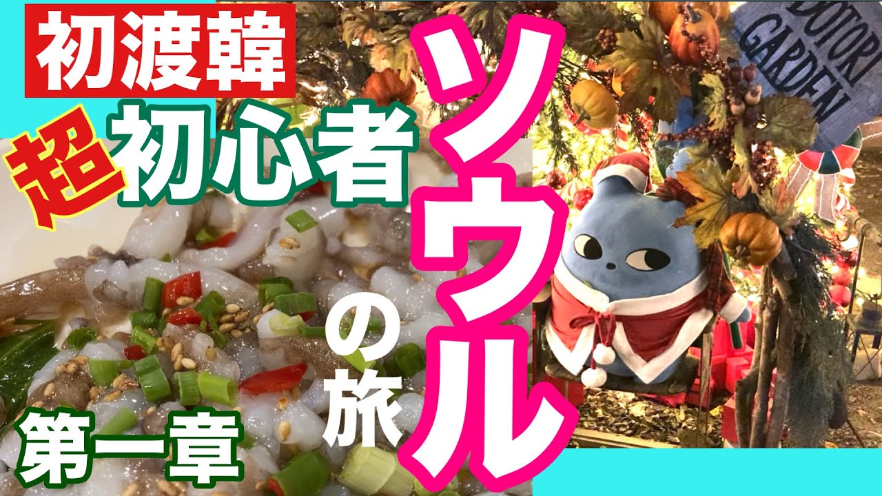 ｛ソウル｝初渡韓　超初心者ソウルの旅〜第一章〜　安国で可愛いスイーツ・広蔵市場で韓国グルメを満喫　ポッサム食べたかったな…