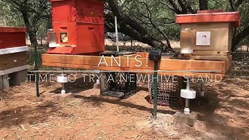 An Ant-Proof Hive Stand?