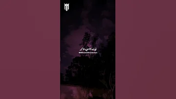 انساك ولا استنى فيها رجوع 