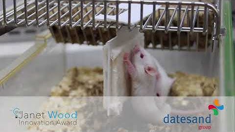 Datesand - Hanging Nestlets (Enrichment)