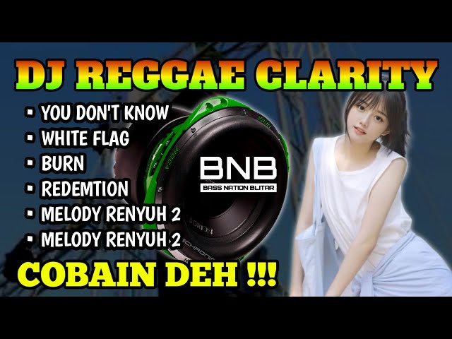 DJ REGGAE ALBUM HOREG CLARITY | BASS NATION BLITAR class=