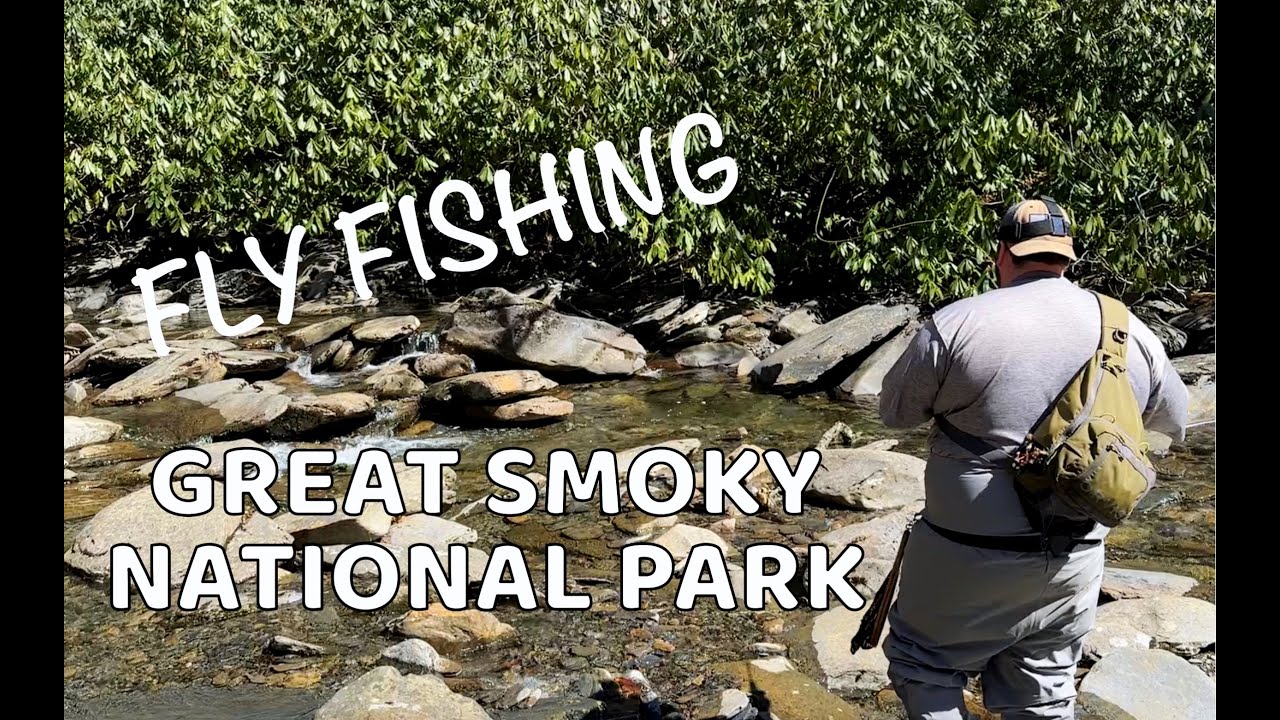 Winter Fly Fishing GREAT SMOKY MOUNTAINS NATIONAL PARK for WILD TROUT