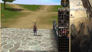 Metin 2 PickUp Bot[P-Server][2013][GERMAN/ENGLISH]