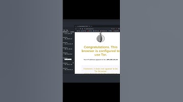Change Your IP Every 10 Seconds Using Tor & ProxyChain! 🌐💻 | Ultimate Anonymity Hack! 🔥 #Shorts