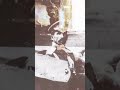 Белая гвардия: поручик Лялин песня Сергея Одинцова и Натальи Искрик