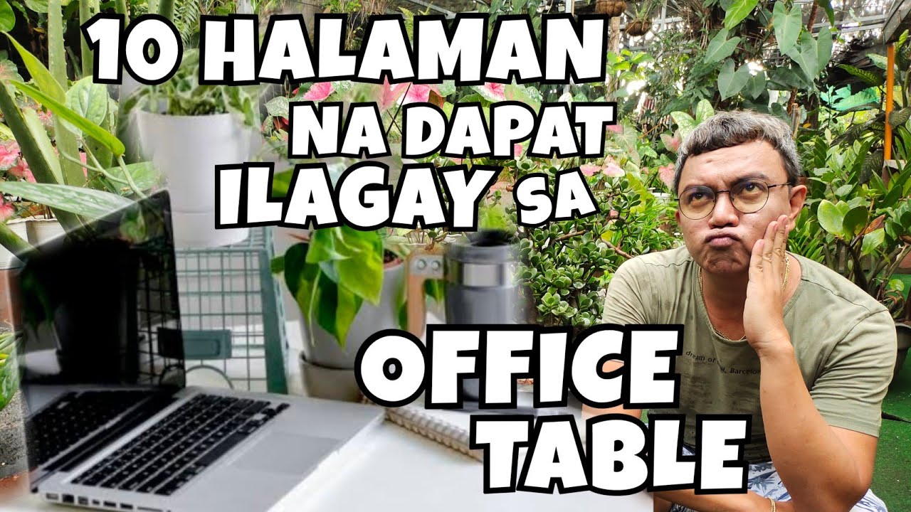 Study Table Plants Indoor