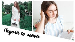 видео: Freaky Summer Party  и Буби, которой вы раньше не видели)) * Выбираем МЕБЕЛЬ * Hello, it's Bubi картинка: Freaky Summer Party  и Буби, которой вы раньше не видели)) * Выбираем МЕБЕЛЬ * Hello, it's Bubi