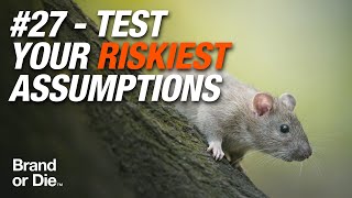 #27 - Test Your Riskiest Assumptions