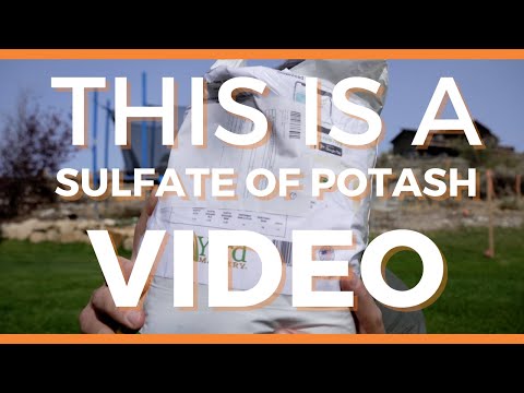 Video: Ang sulphate ba ng potash ay mabuti para sa mga damuhan?