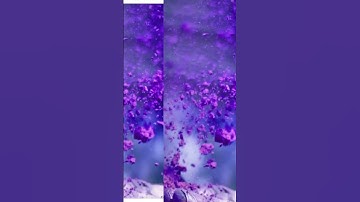 Lavender Haze — Taylor Swift