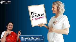 19th Week of Pregnancy | गर्भावस्था का १९ वा सप्ताह | Dr. Asha Gavade | Umang Hospital | Pune