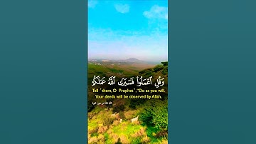 تلاوة خاشعة بصوت يريح الأعصاب #elmulquranعلم #اكسبلور #تلاوة #aslam #المصحف #لايك #trend #قران_كريم