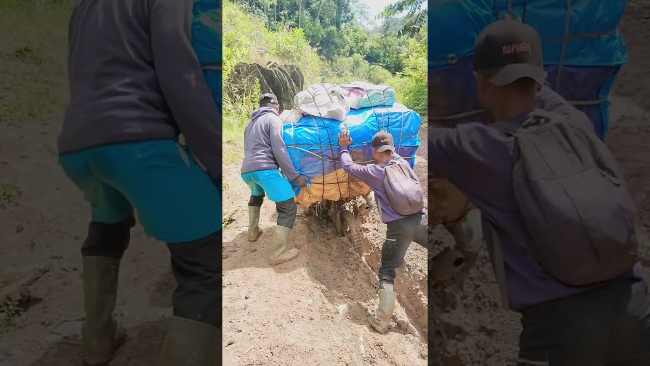 #reels #viral #fyp #anakkampung #pedalamanseko #seko