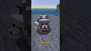 Kedi Ve Köpekler Değişti Minecraft Yeni Güncelleme