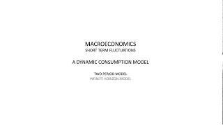 Two period model - Short term fluctuations