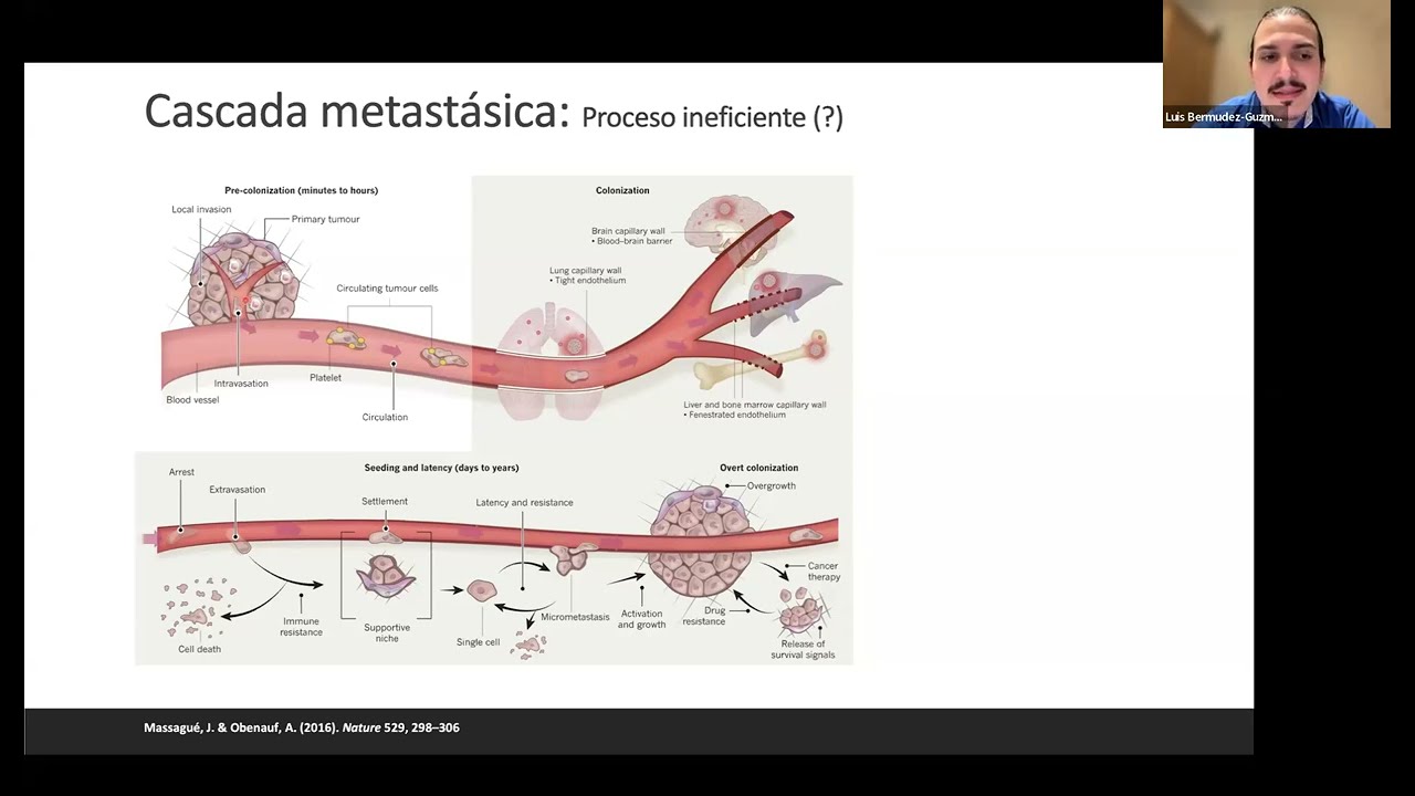 2025 1de12 Científico: Bases Moleculares de las Metástasis