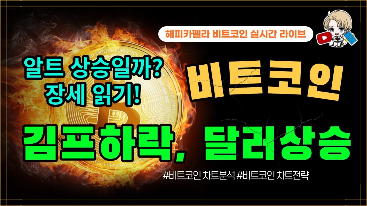 비트코인 실시간, 김프 하락, 달러상승! 알트 상승일까? 변화추세 읽기! 11월 21일 저녁💎 #비트코인 #비트코인실시간 #이더리움  #리플 #도지코인 #차트분석 - YouTube