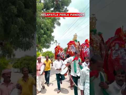 నేలపట్ల పీర్ల పండుగ, #trending #viral #pirla #nelapatla #treditional #