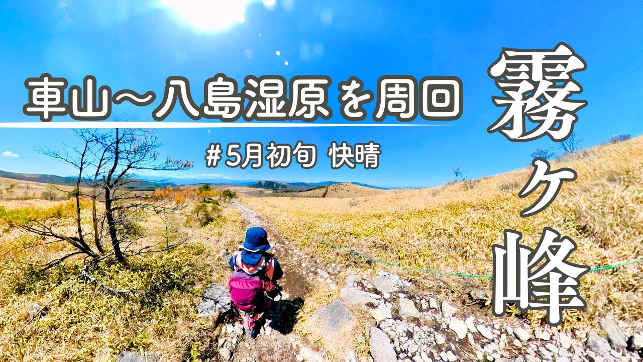 5月の霧ヶ峰】車山～蝶々深山～八島湿原を周回｜GWでものんびり - YouTube